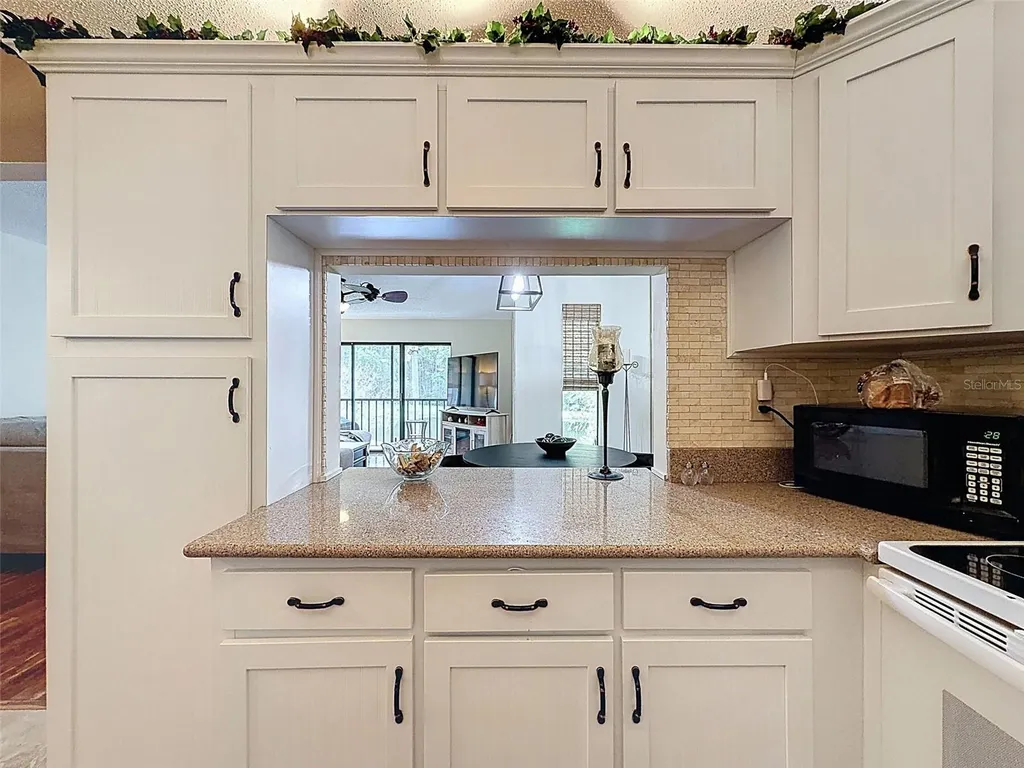 1488 Pine Glen Lane Tarpon Springs FL 34688