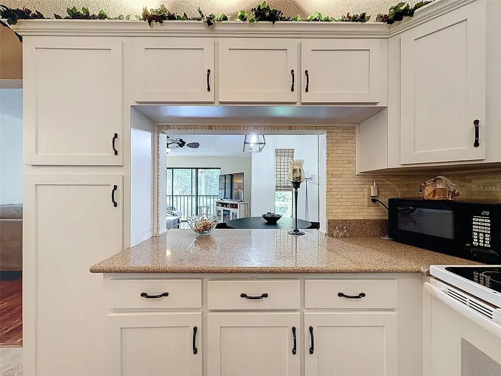 1488 Pine Glen Lane Tarpon Springs FL 34688