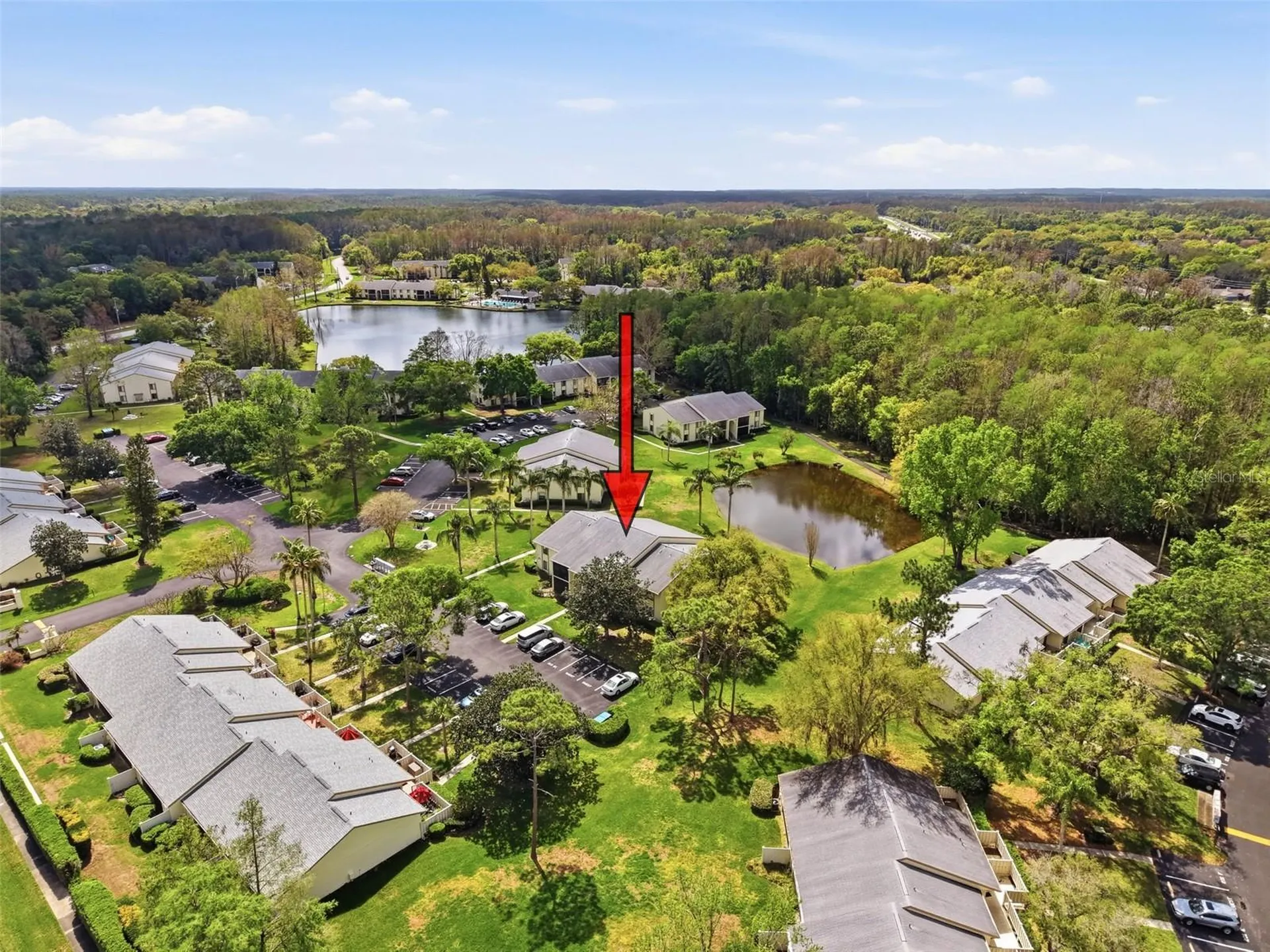 1488 Pine Glen Lane Tarpon Springs FL 34688