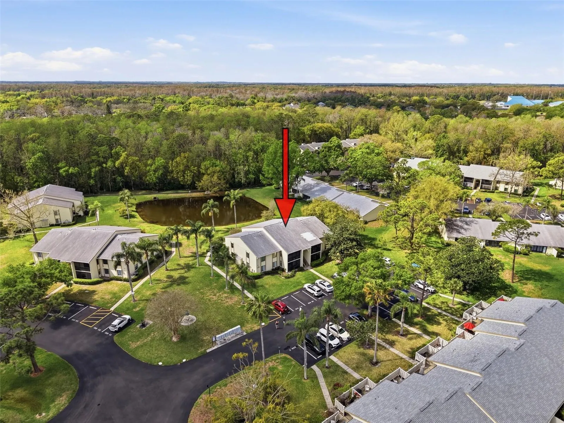 1488 Pine Glen Lane Tarpon Springs FL 34688