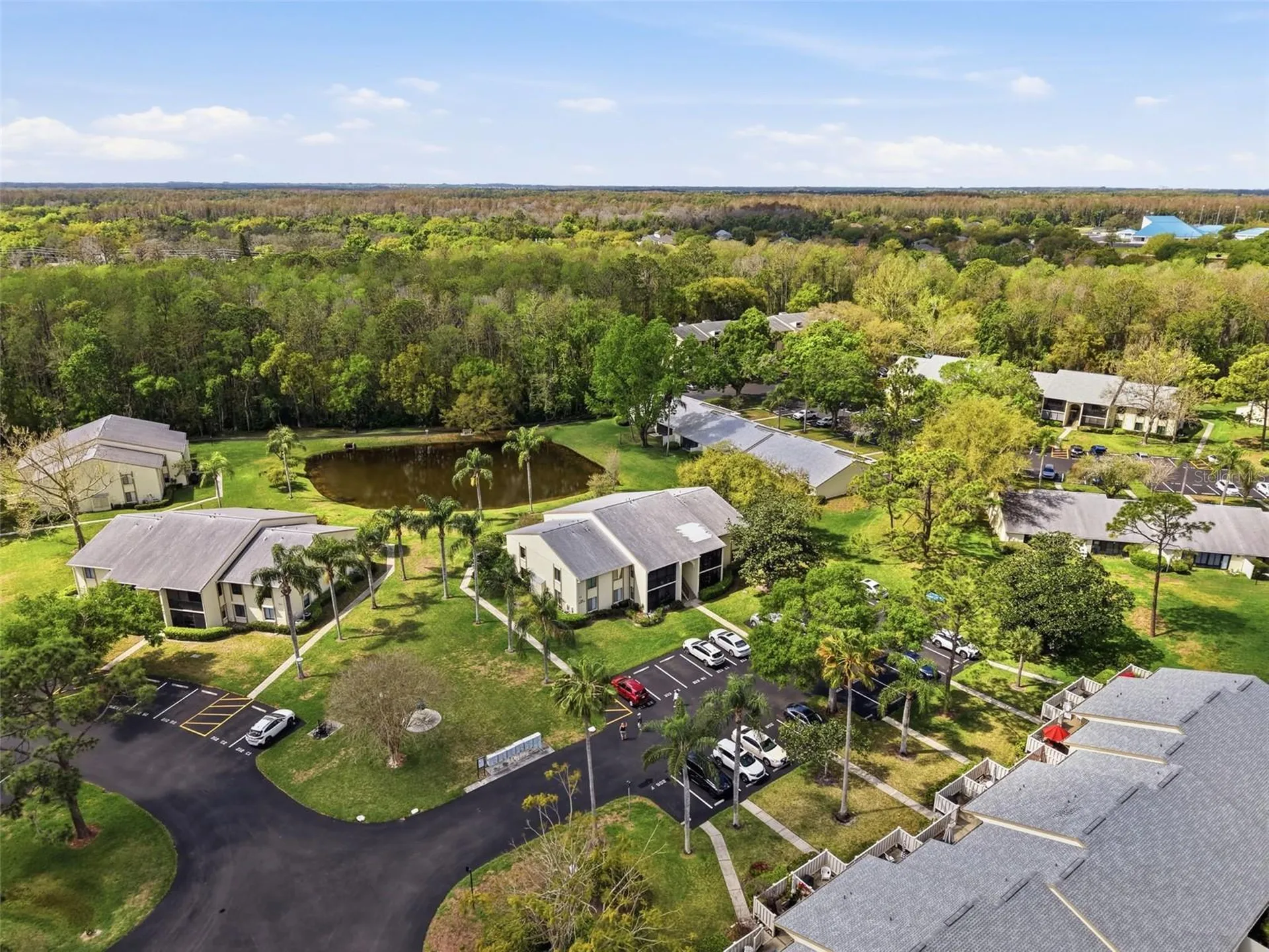 1488 Pine Glen Lane Tarpon Springs FL 34688
