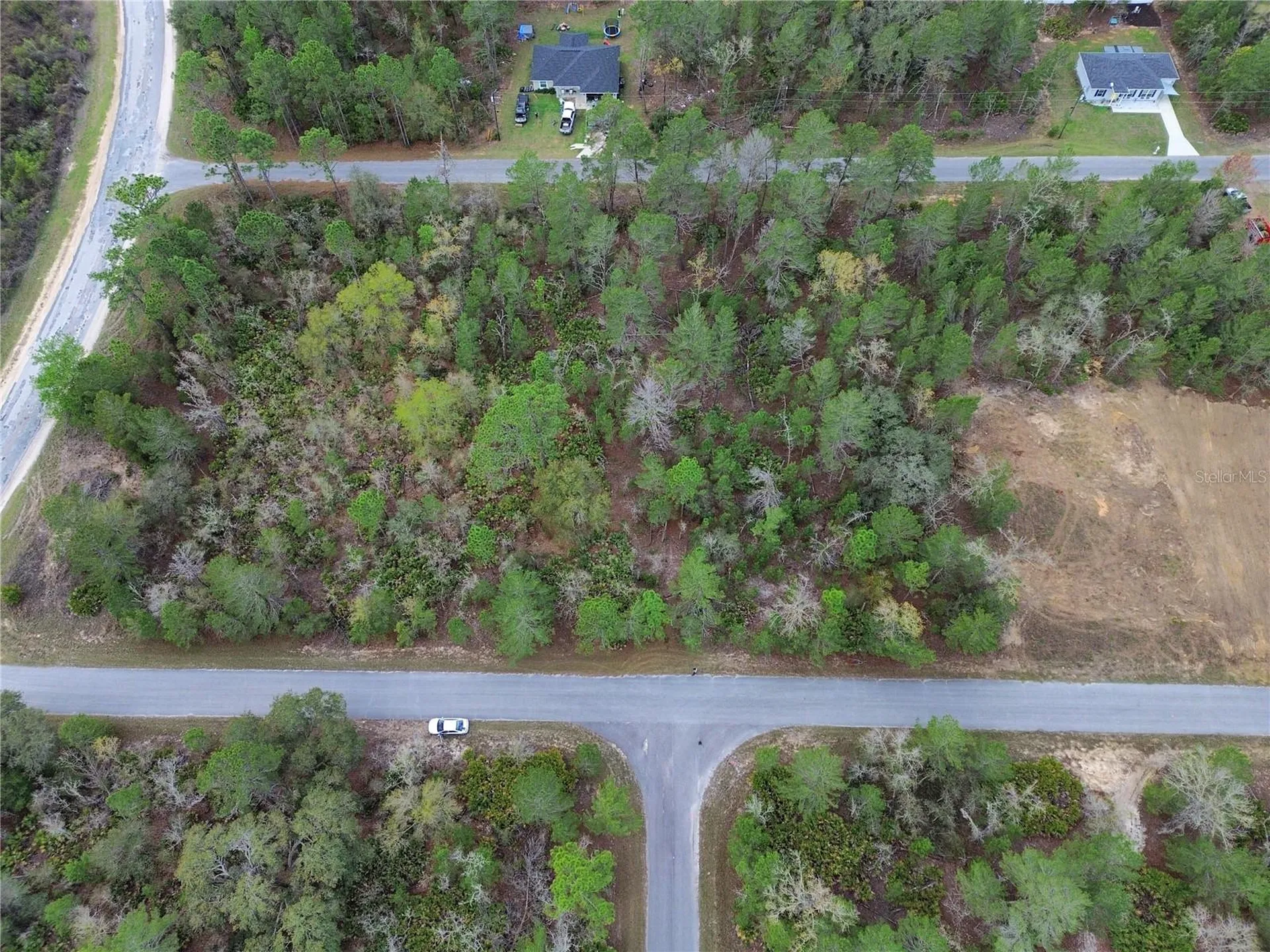 Tbd Malauka Lane Ocklawaha FL 32179