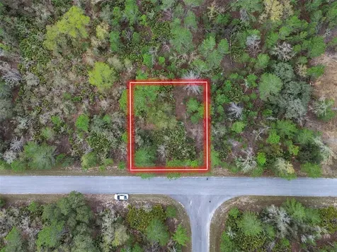 Tbd Malauka Lane Ocklawaha FL 32179