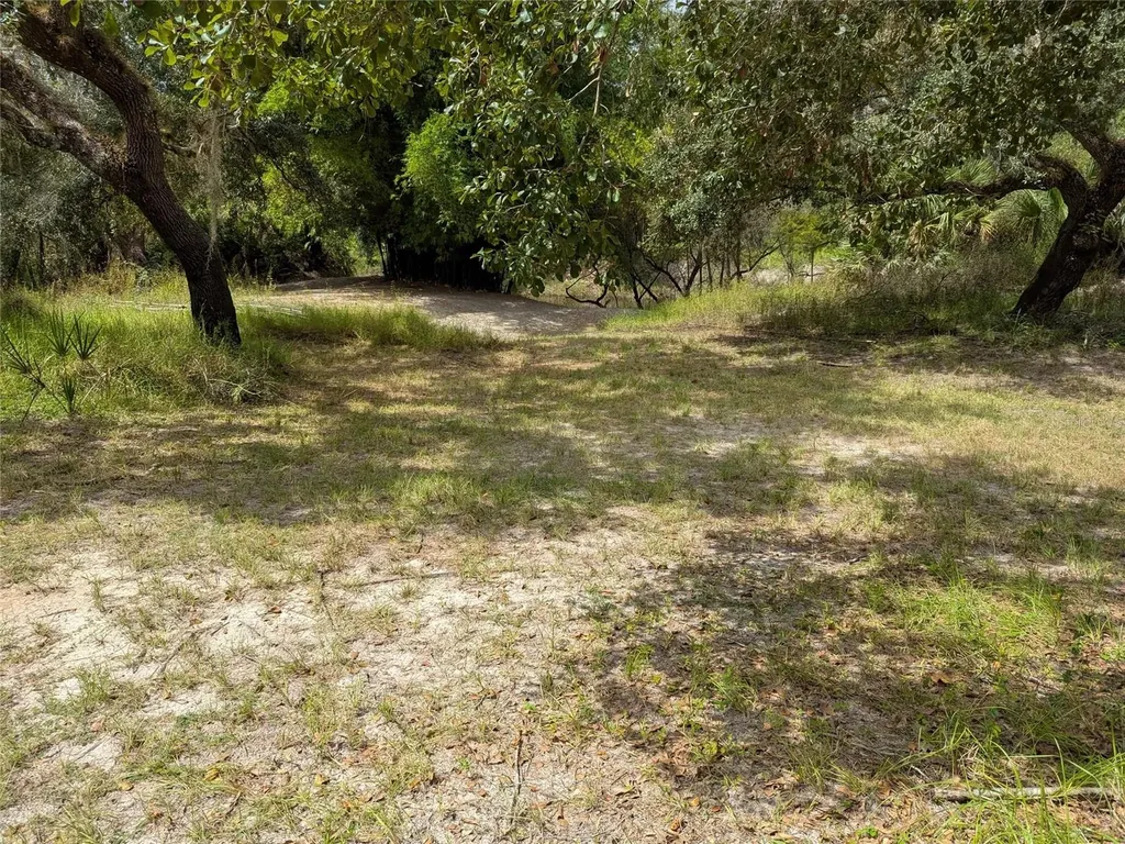 7062 Crooked Creek Zolfo Springs FL 33890