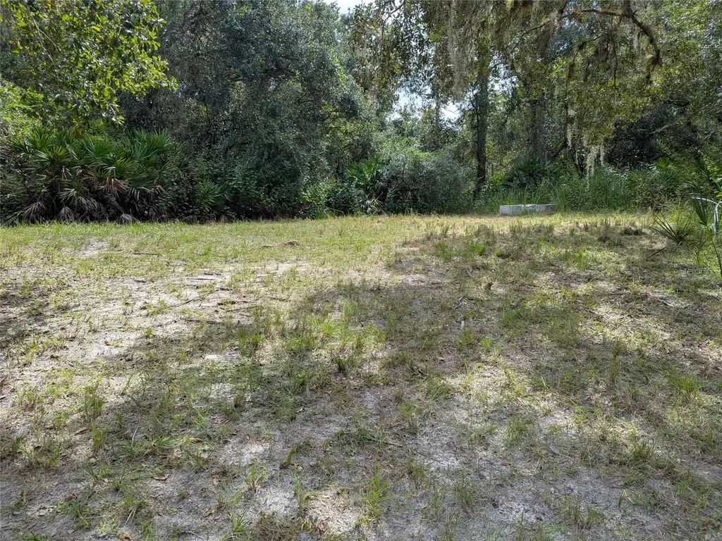 7062 Crooked Creek Zolfo Springs FL 33890
