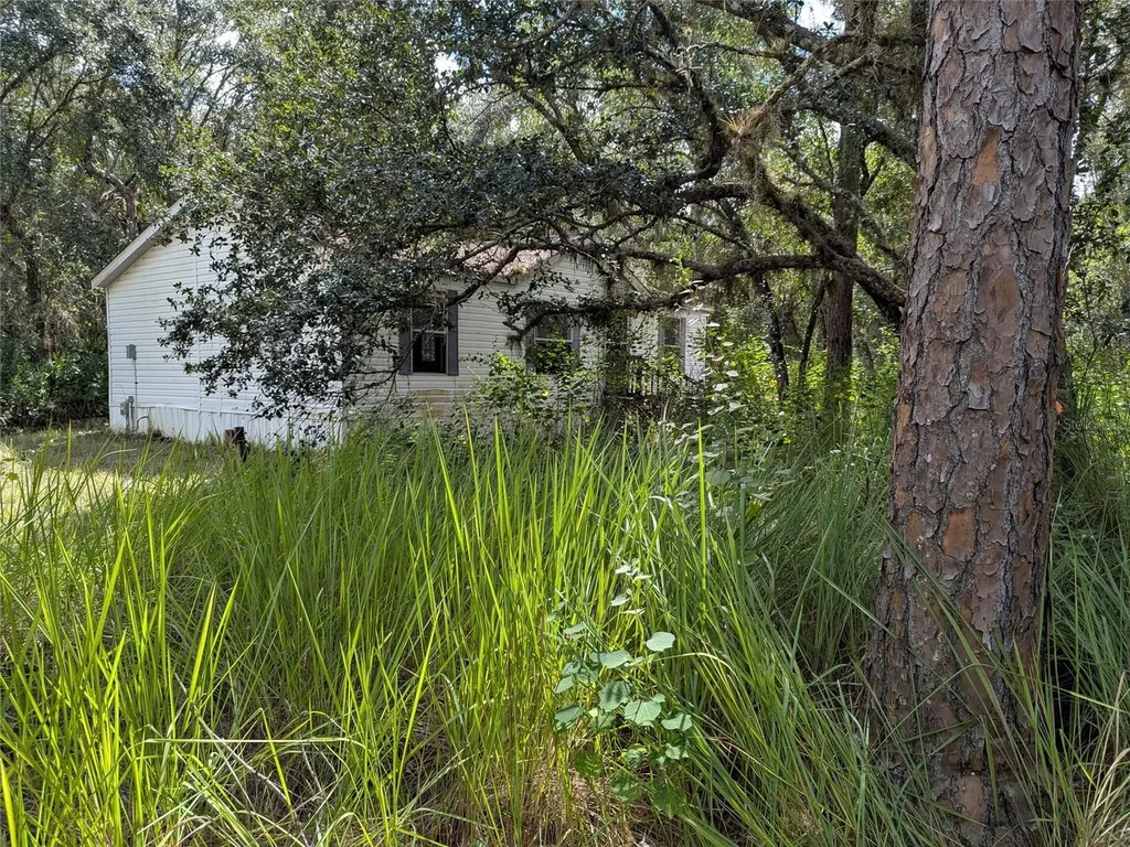7062 Crooked Creek Zolfo Springs FL 33890