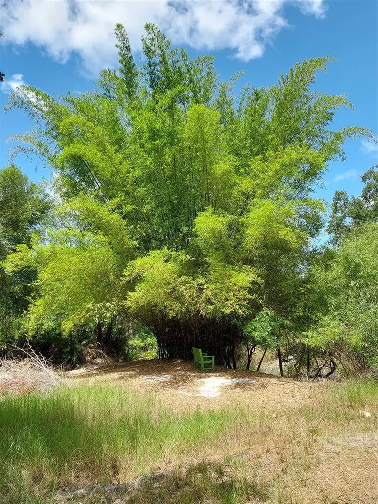 7062 Crooked Creek Zolfo Springs FL 33890