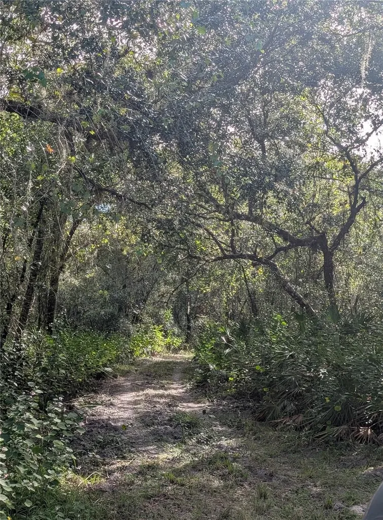 7062 Crooked Creek Zolfo Springs FL 33890