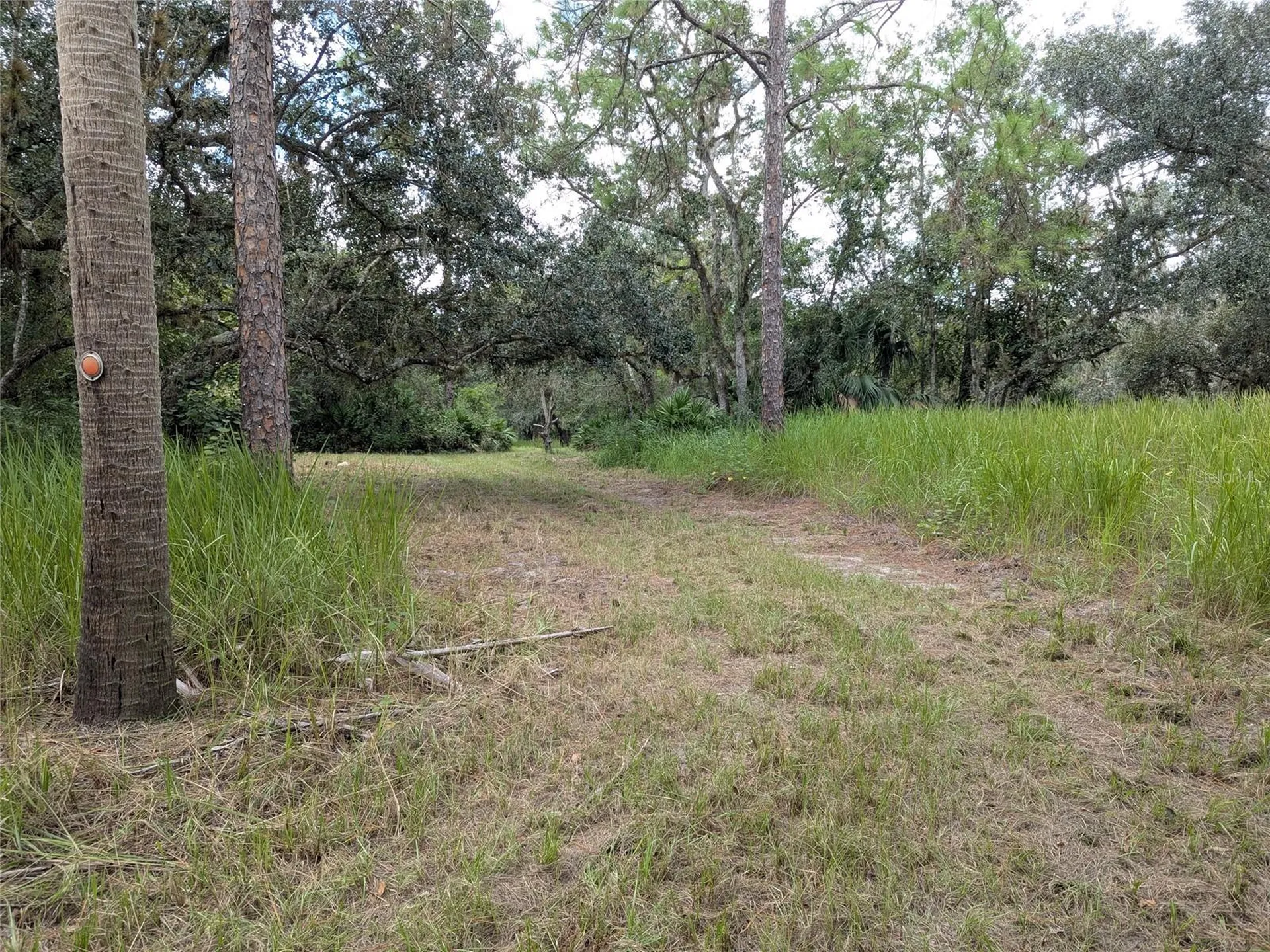 7062 Crooked Creek Zolfo Springs FL 33890