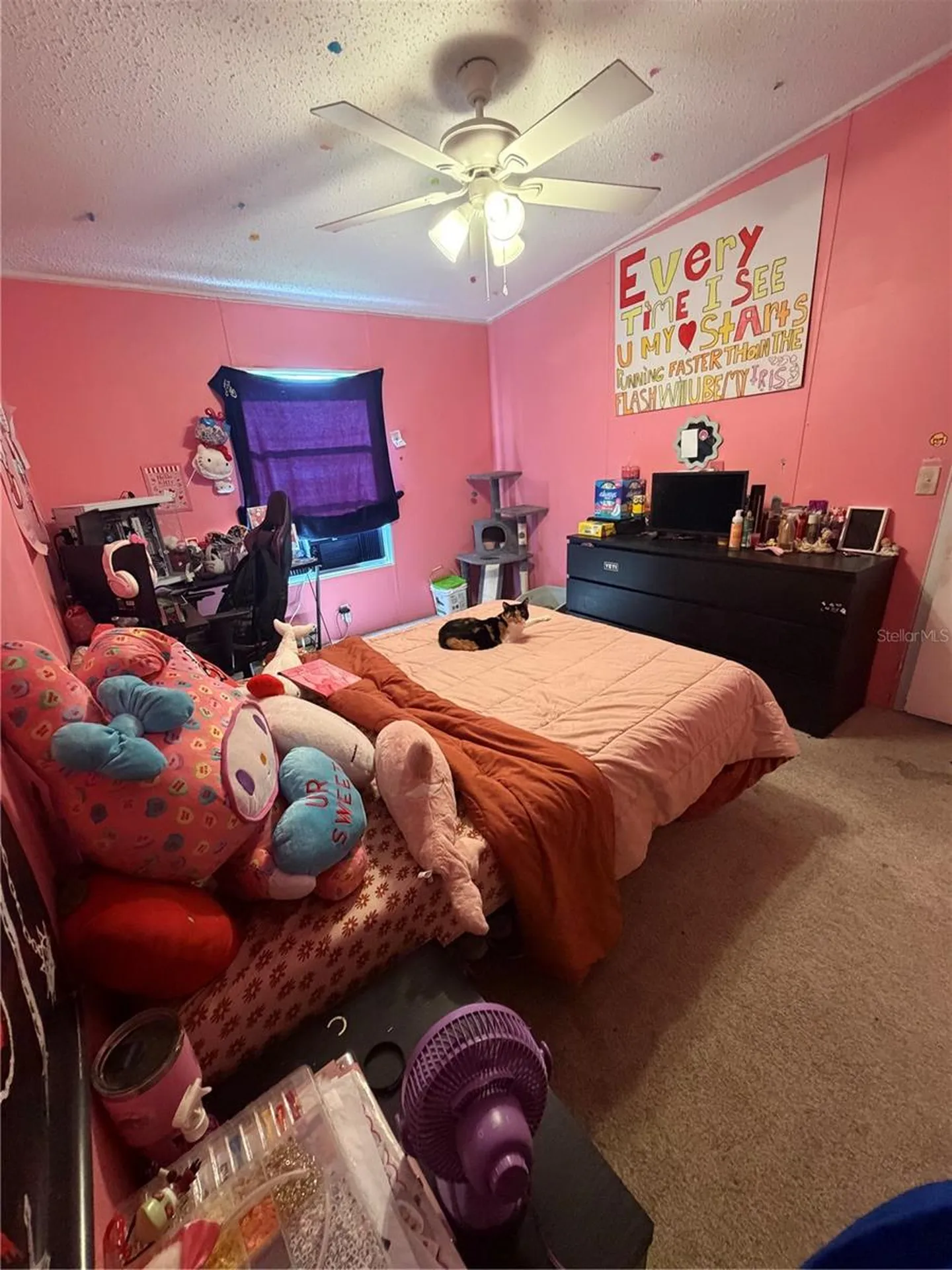 Lakeland FL 33810