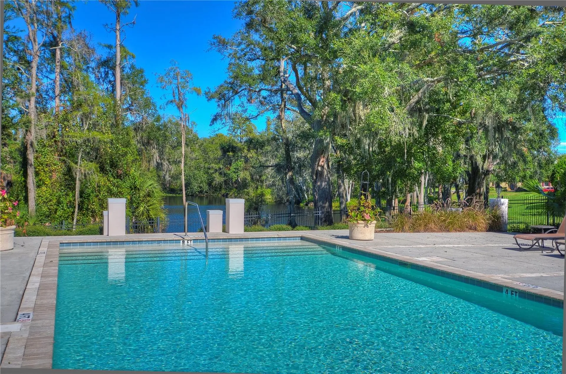 11308 Wickersley Place Tampa FL 33625