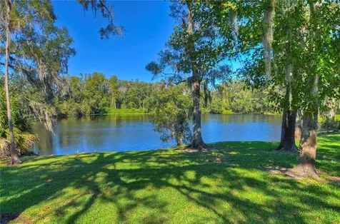 11308 Wickersley Place Tampa FL 33625