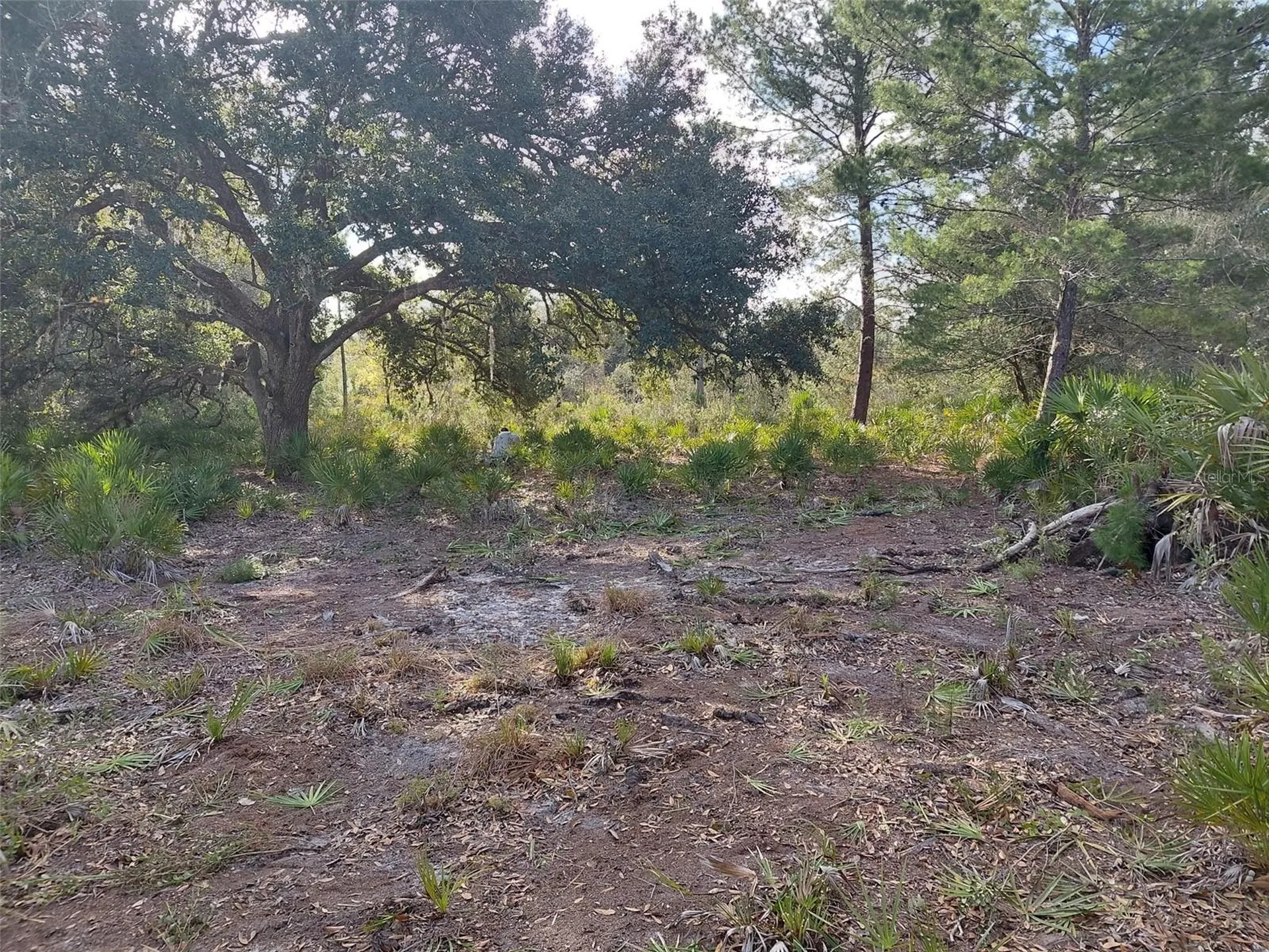 4311 Gardenia Drive Indian Lake Estates FL 33855