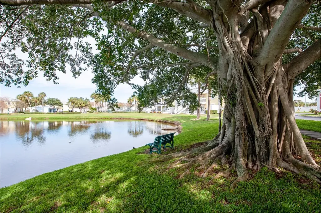 237 Seahorse Drive SE St Petersburg FL 33705
