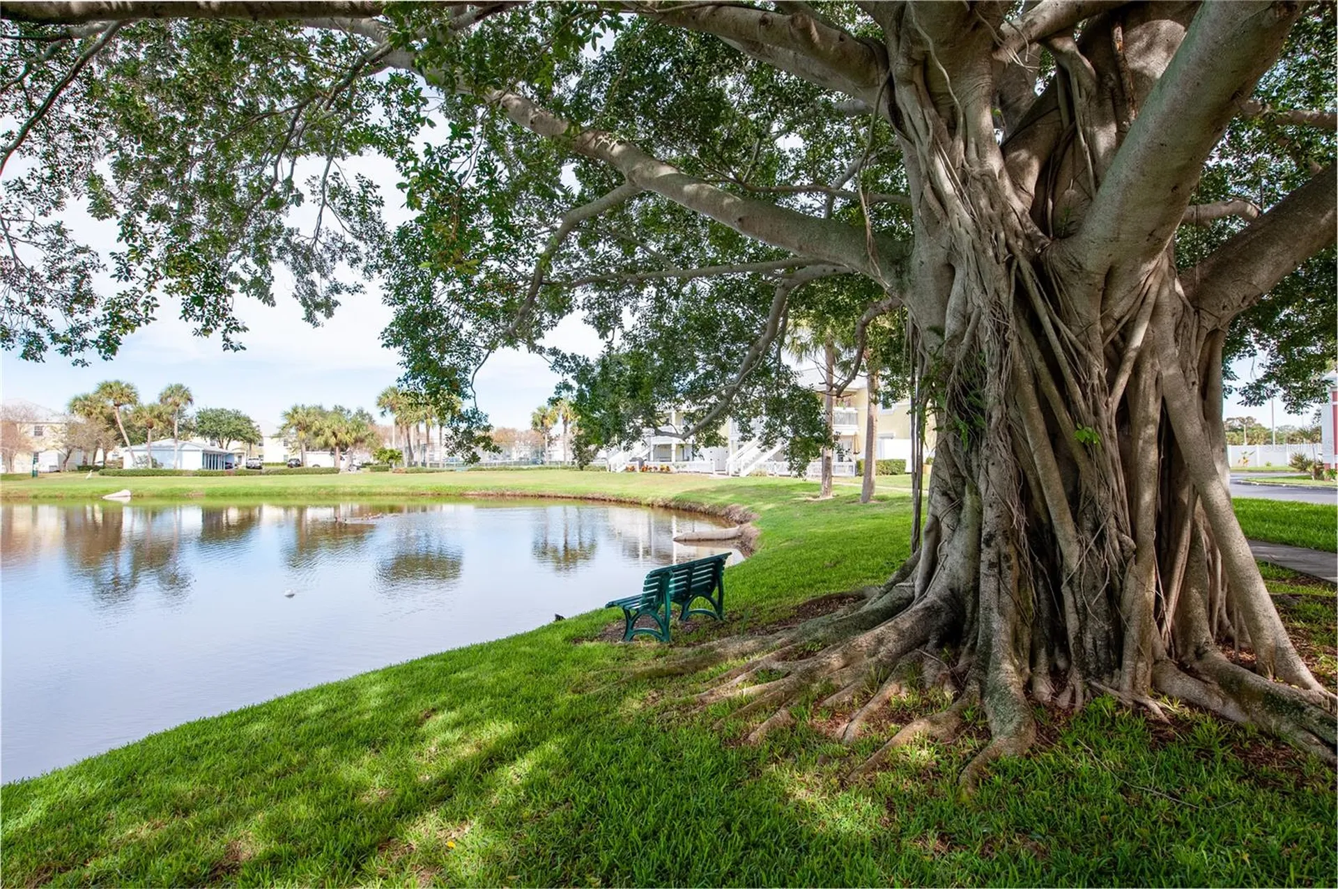 237 Seahorse Drive SE St Petersburg FL 33705
