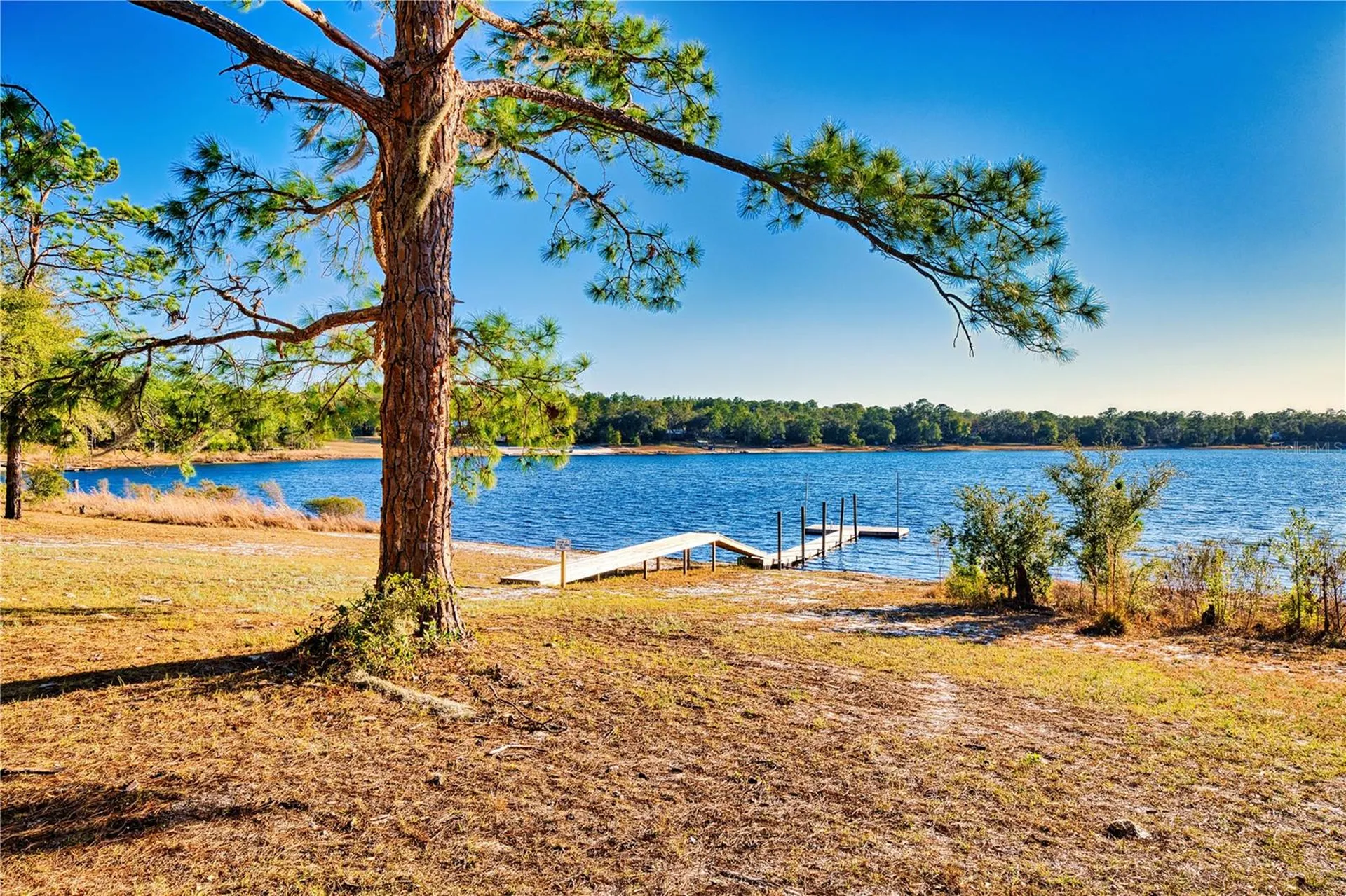 123 Mason Lake Trail Hawthorne FL 32640