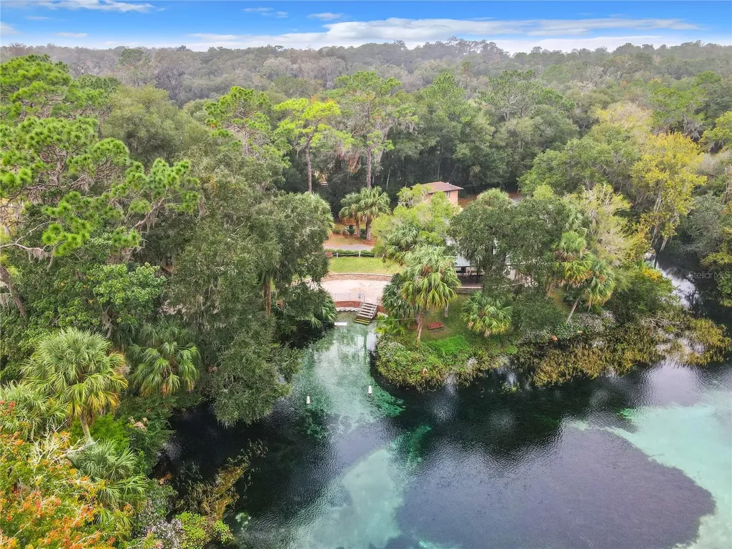 10043 SW 202nd Circle Dunnellon FL 34431