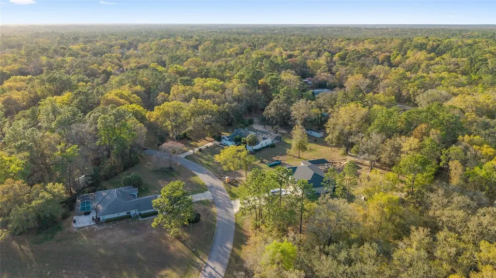 10043 SW 202nd Circle Dunnellon FL 34431