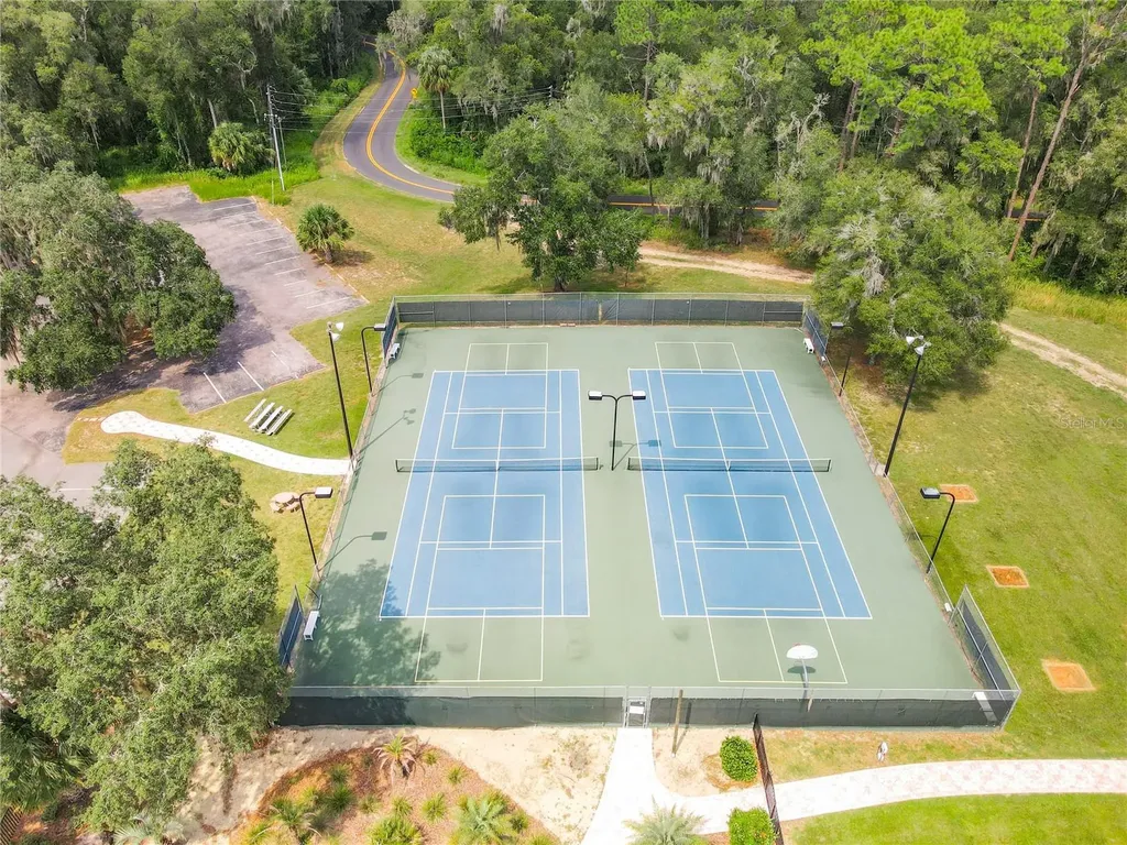 10043 SW 202nd Circle Dunnellon FL 34431