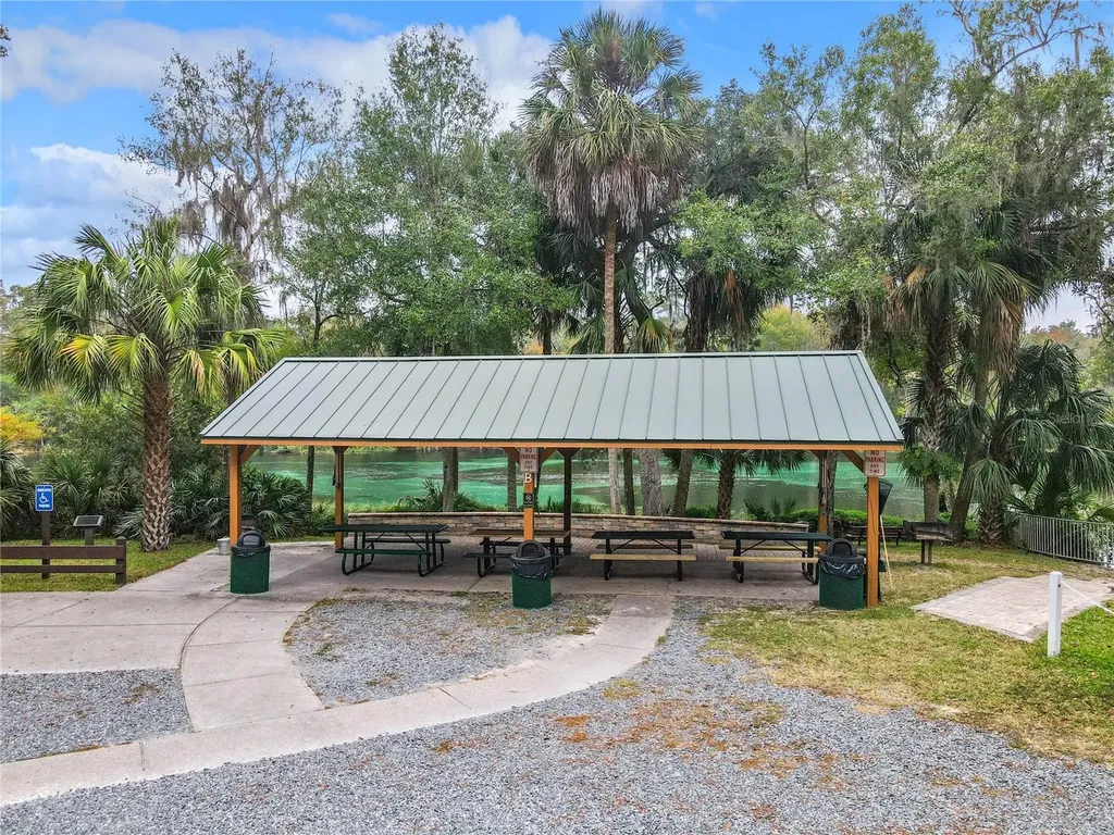 10043 SW 202nd Circle Dunnellon FL 34431