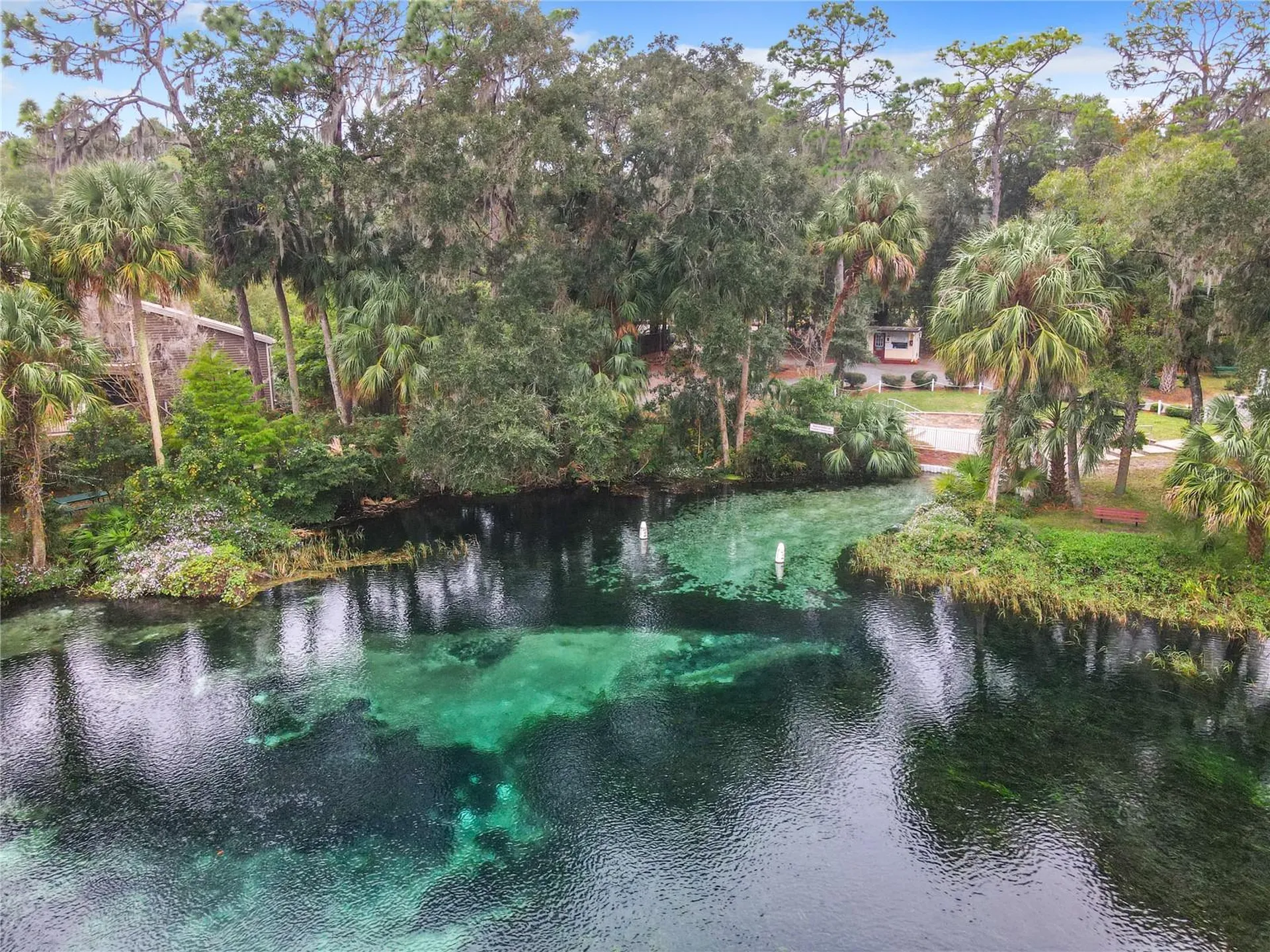 10043 SW 202nd Circle Dunnellon FL 34431