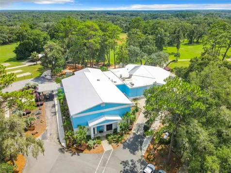 10043 SW 202nd Circle Dunnellon FL 34431