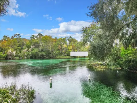 10043 SW 202nd Circle Dunnellon FL 34431