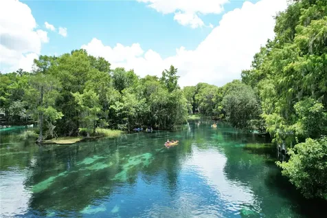 10043 SW 202nd Circle Dunnellon FL 34431