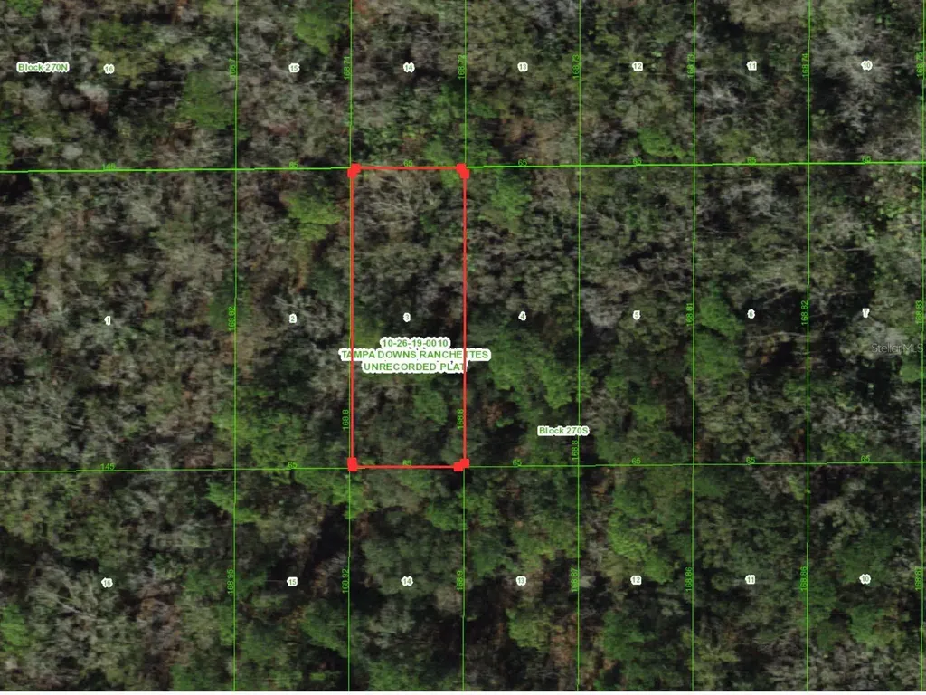 Unassigned Wesley Chapel FL 33544