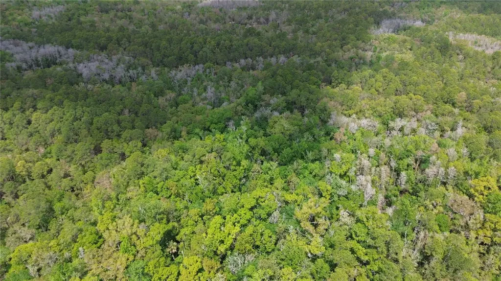 Unassigned Wesley Chapel FL 33544