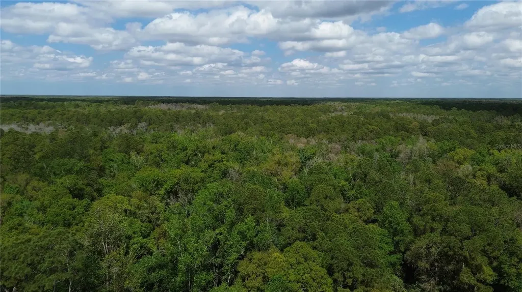 Unassigned Wesley Chapel FL 33544