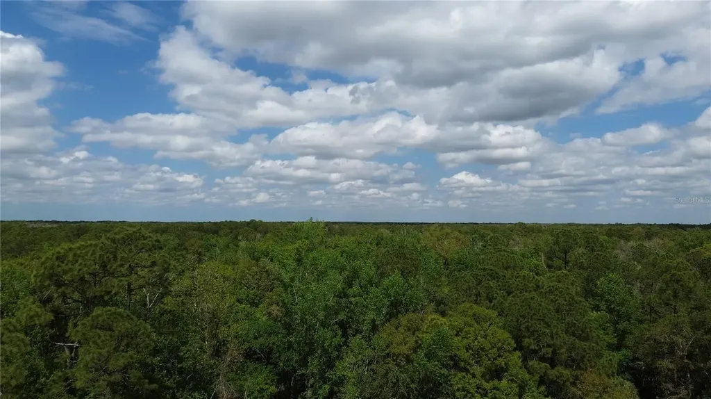 Unassigned Wesley Chapel FL 33544