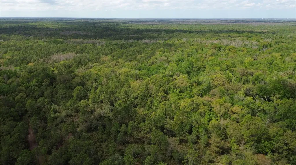Unassigned Wesley Chapel FL 33544