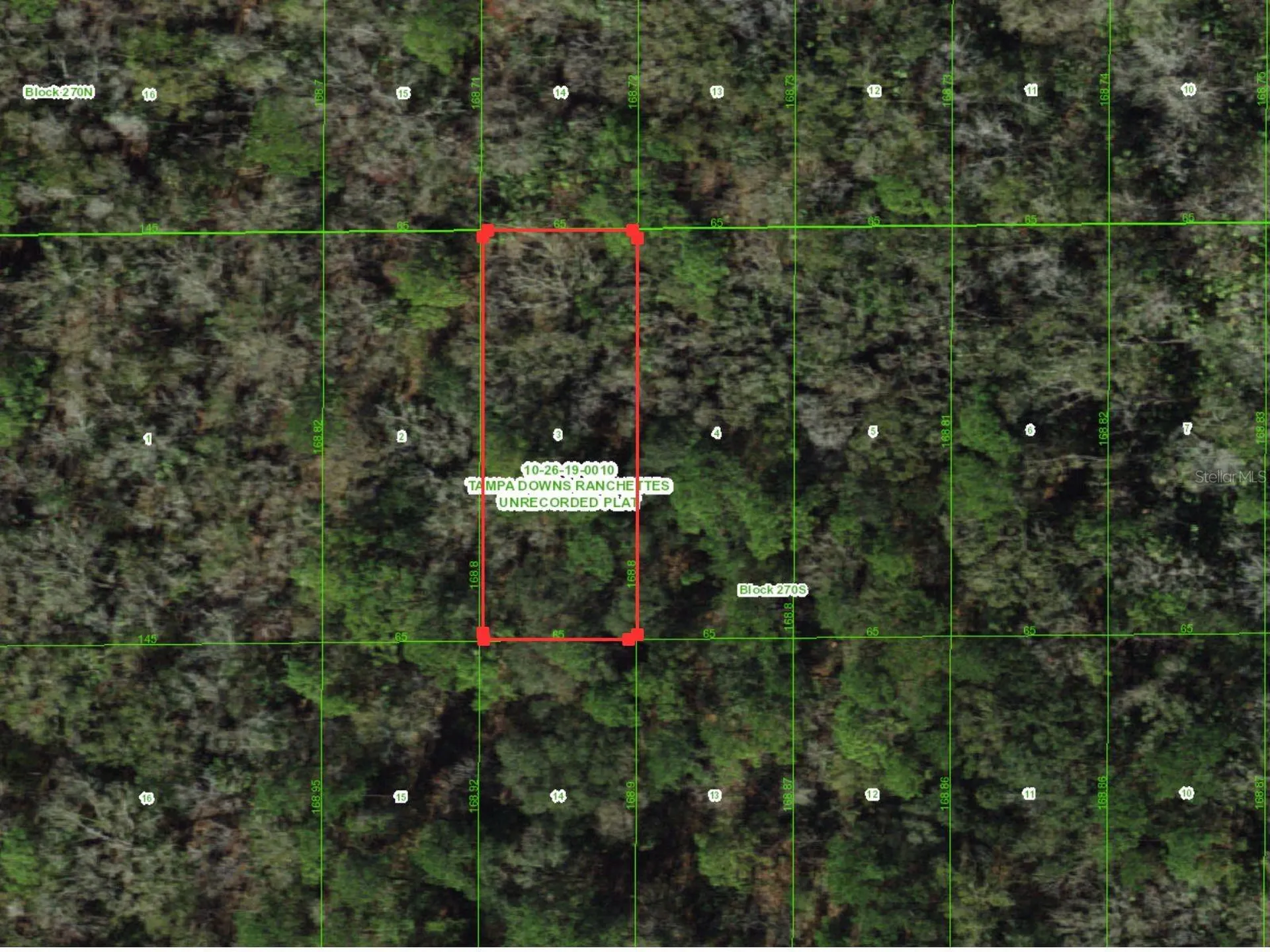Unassigned Wesley Chapel FL 33544