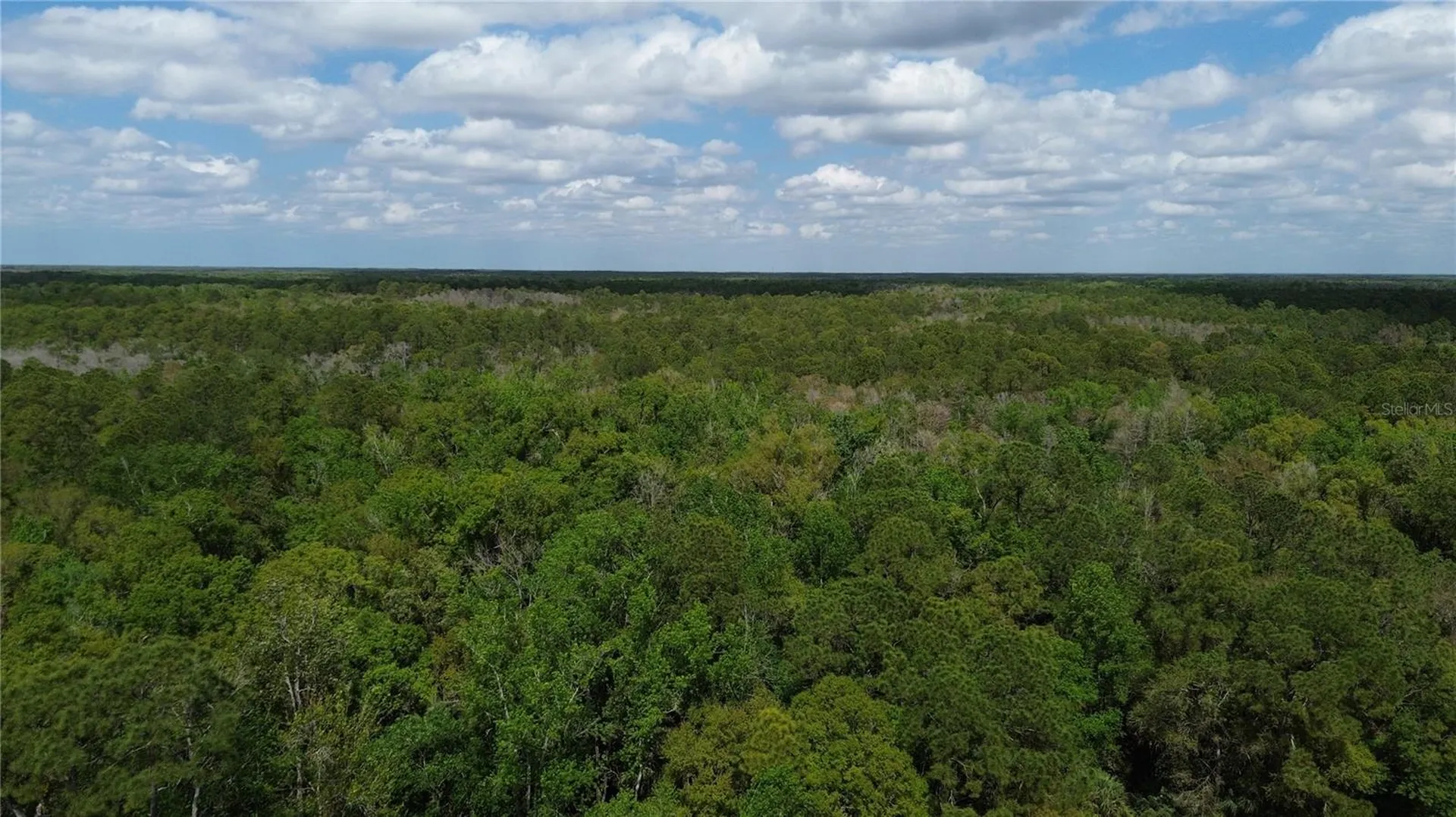 Unassigned Wesley Chapel FL 33544