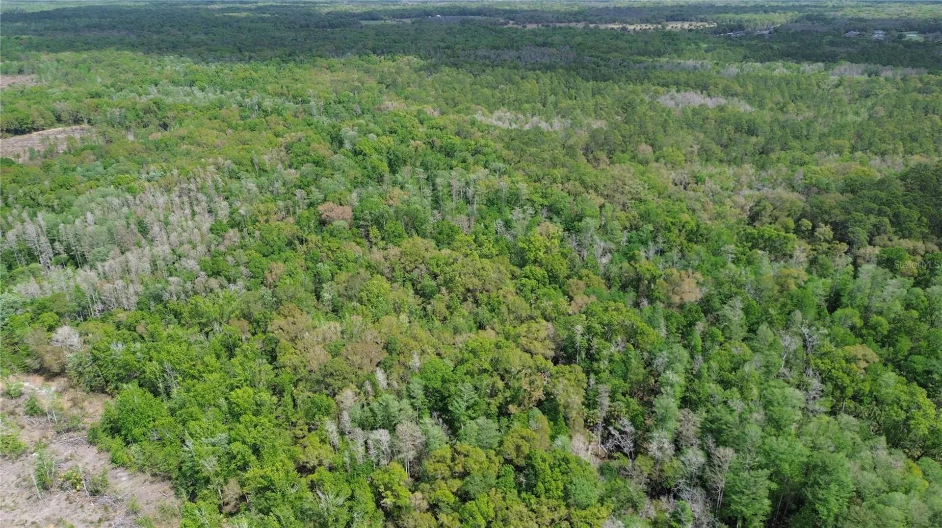 Unassigned Wesley Chapel FL 33544