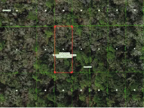 Unassigned Wesley Chapel FL 33544