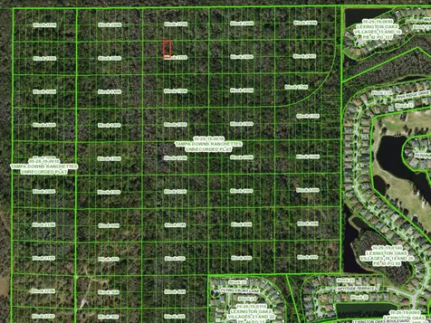 Unassigned Wesley Chapel FL 33544