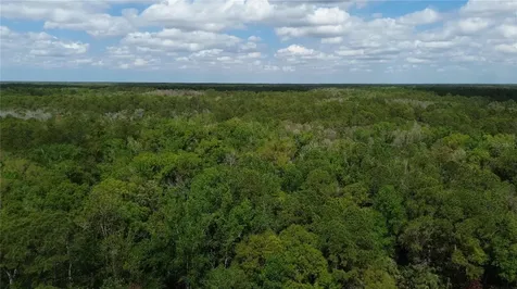 Unassigned Wesley Chapel FL 33544