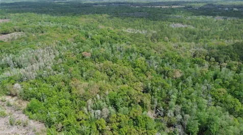 Unassigned Wesley Chapel FL 33544