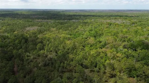 Unassigned Wesley Chapel FL 33544
