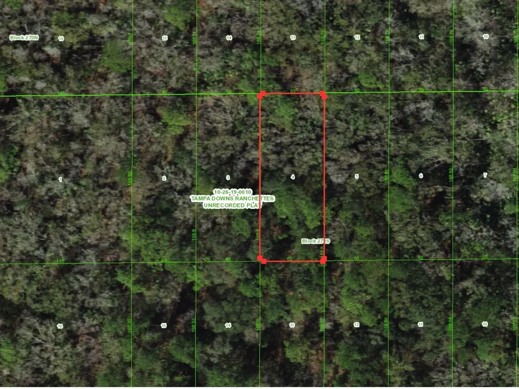 Unassigned Wesley Chapel FL 33544