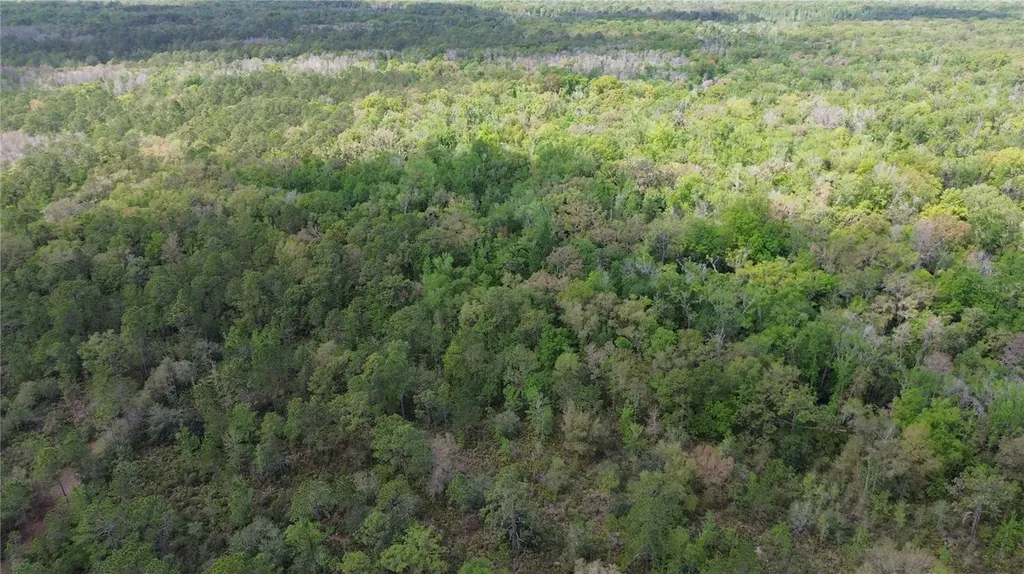 Unassigned Wesley Chapel FL 33544