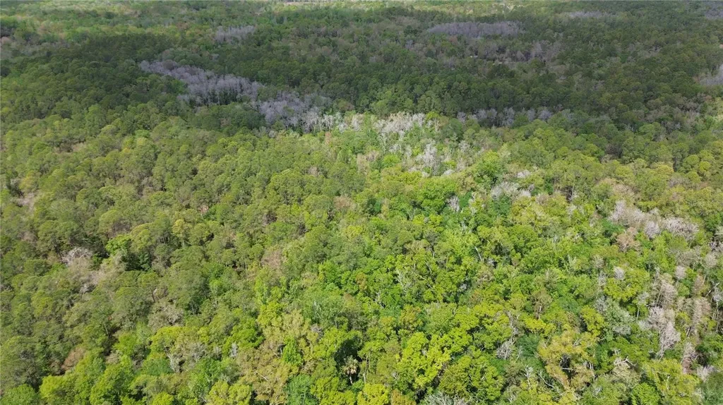 Unassigned Wesley Chapel FL 33544