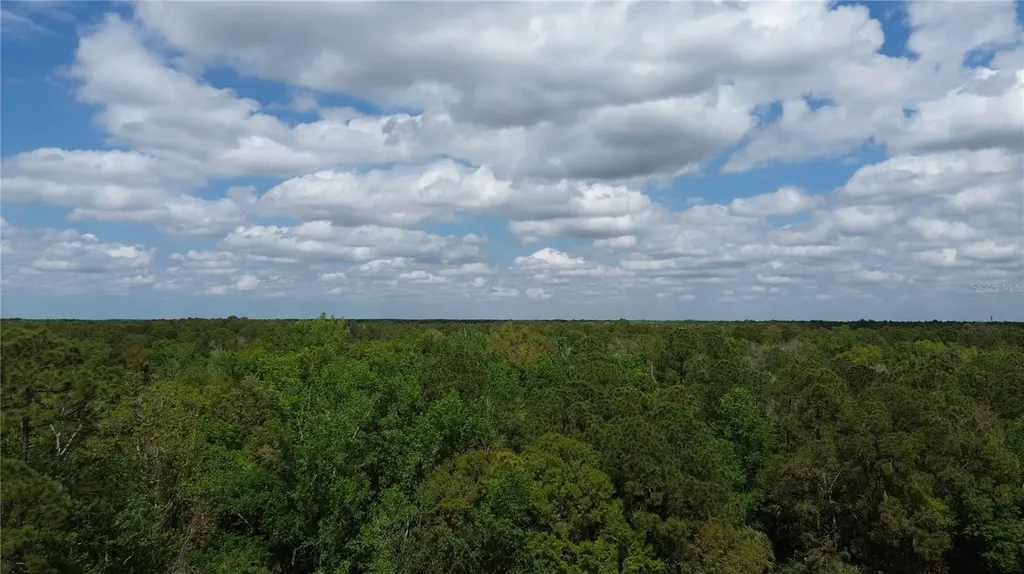 Unassigned Wesley Chapel FL 33544