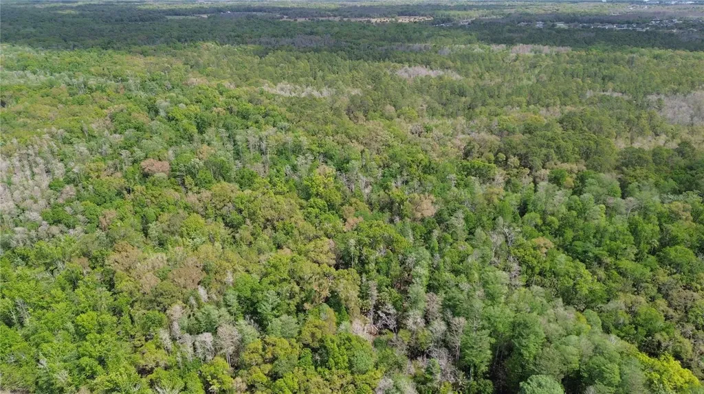 Unassigned Wesley Chapel FL 33544