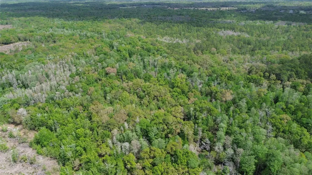 Unassigned Wesley Chapel FL 33544