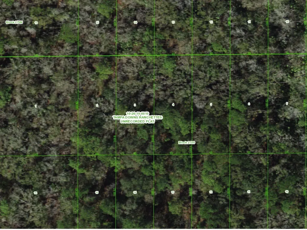 Unassigned Wesley Chapel FL 33544