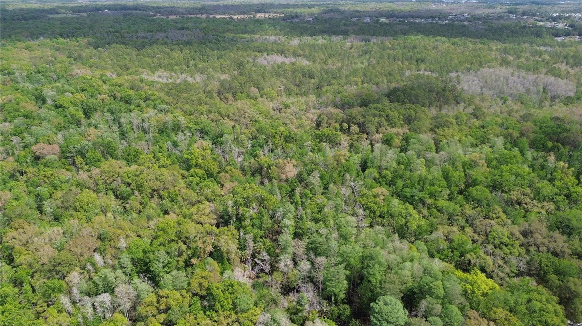 Unassigned Wesley Chapel FL 33544