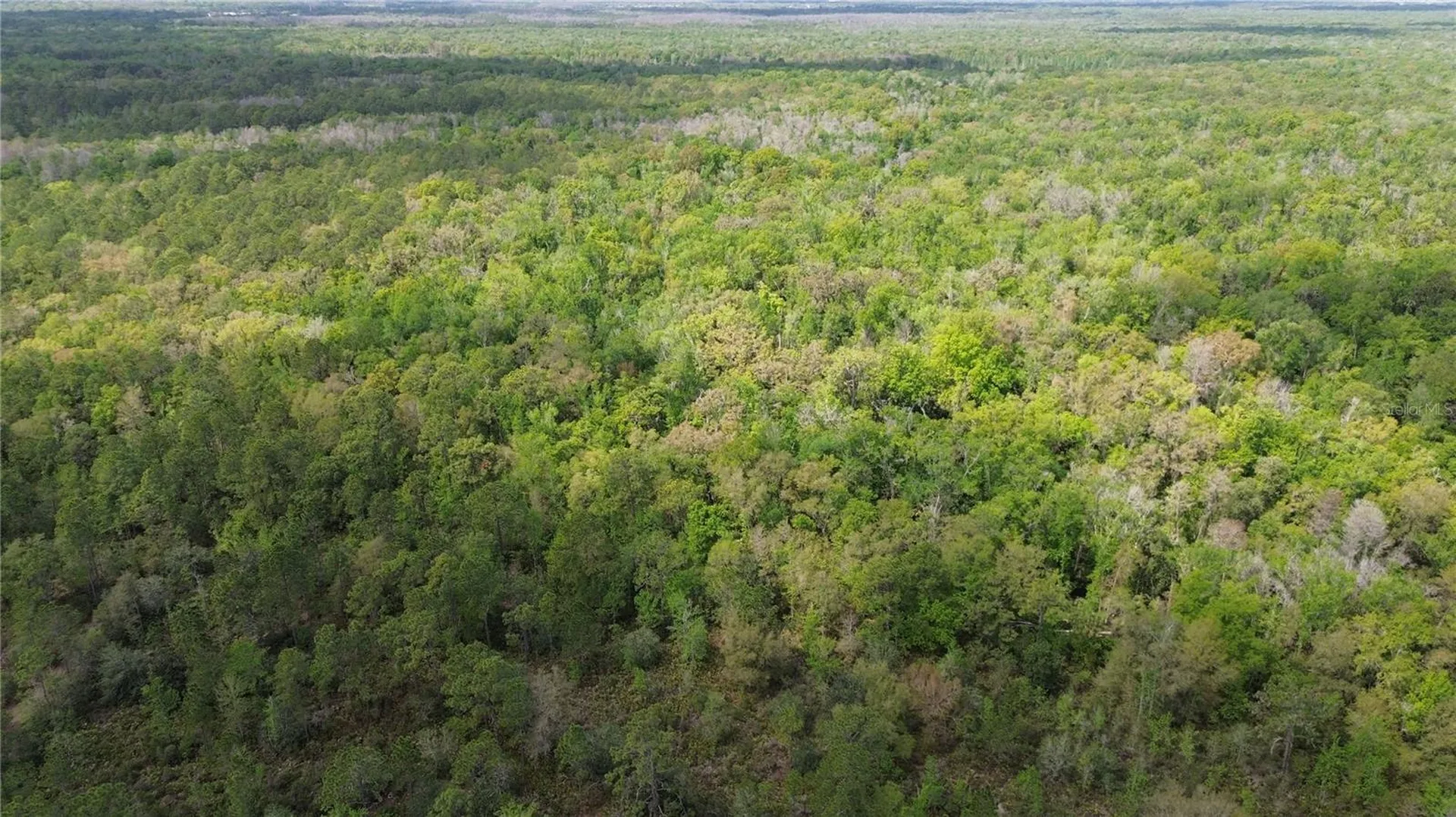 Unassigned Wesley Chapel FL 33544